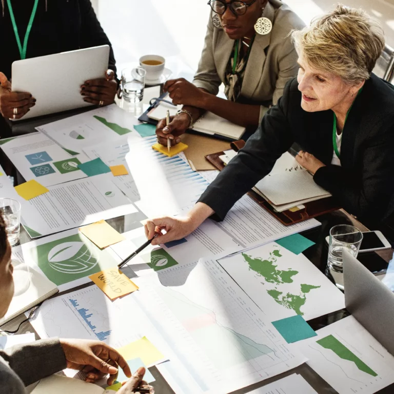 woman presenting a Materiality assessment consulting report in a meeting