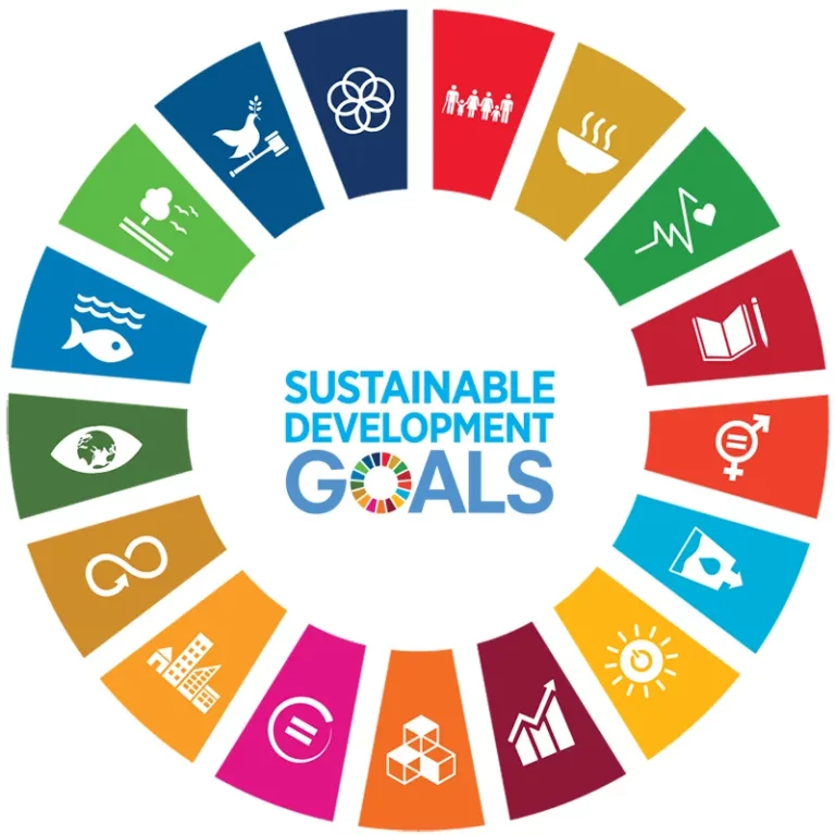 Multi colored SDG Goal Wheels for ECG SDG consulting services
