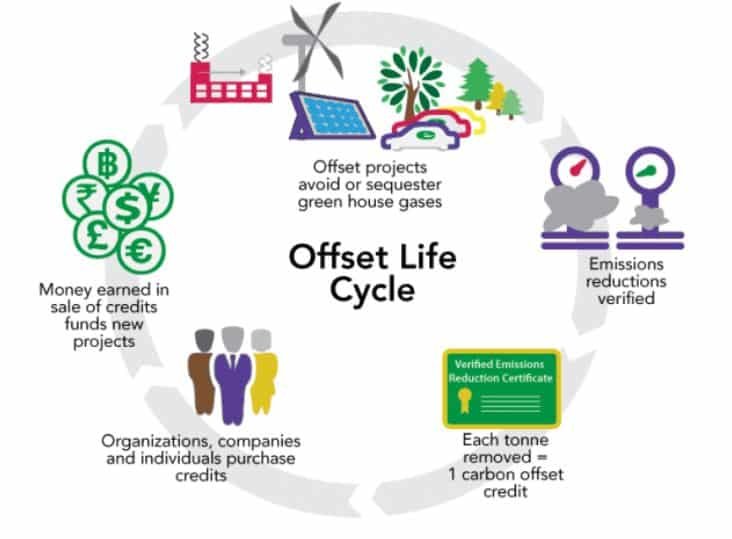 carbon offset advisory life cycle flowchart cartoon