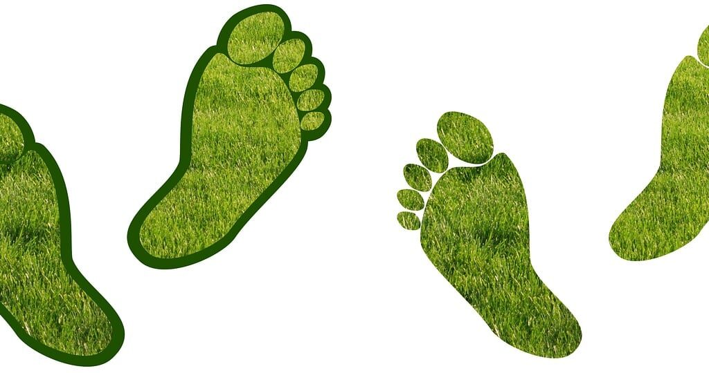 product carbon footprint shown with green footprints
