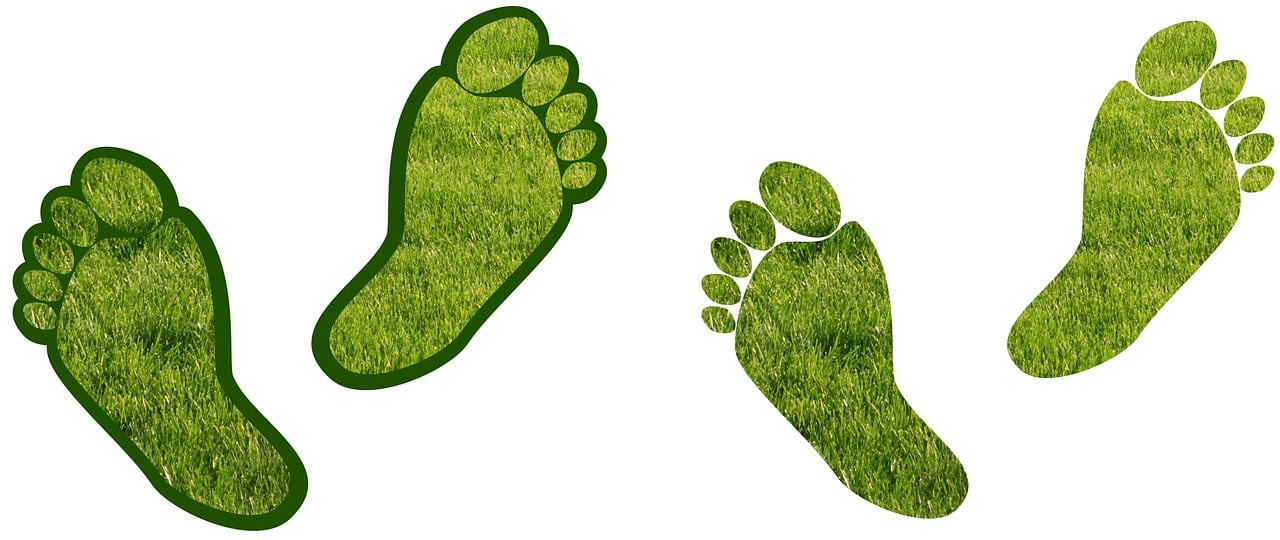 product carbon footprint shown with green footprints