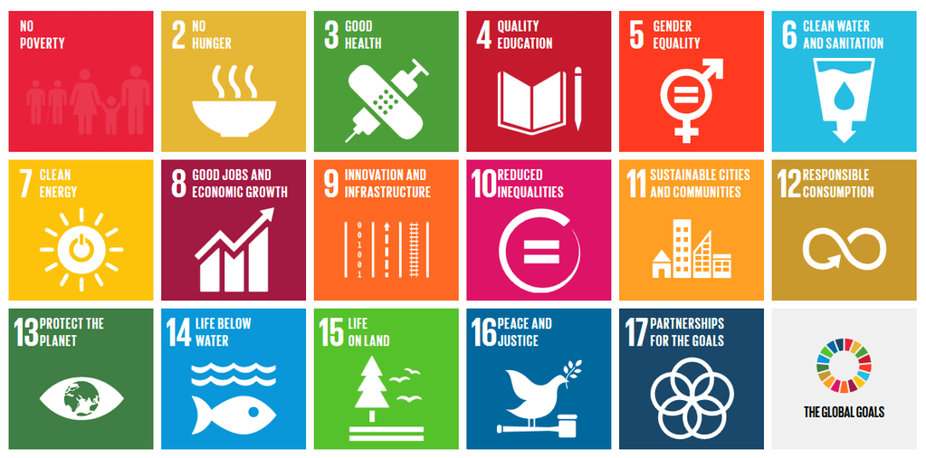 Aligning with the U.N. Sustainable Development Goals — From Symbols to Strategy